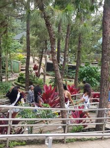 The Mansion and Baguio Botanical Garden